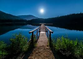 Nature 1