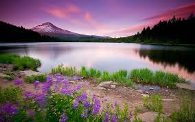 Nature 2